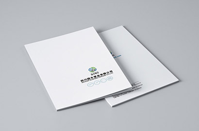 蔡甸区画册设计：以纸为媒，镌刻城市的精神图腾